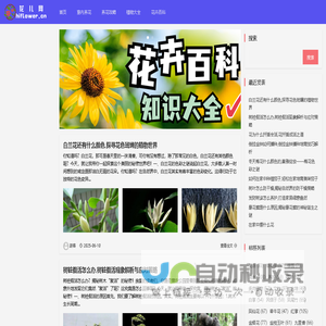 CYLUM SPORTS CO., LTD.